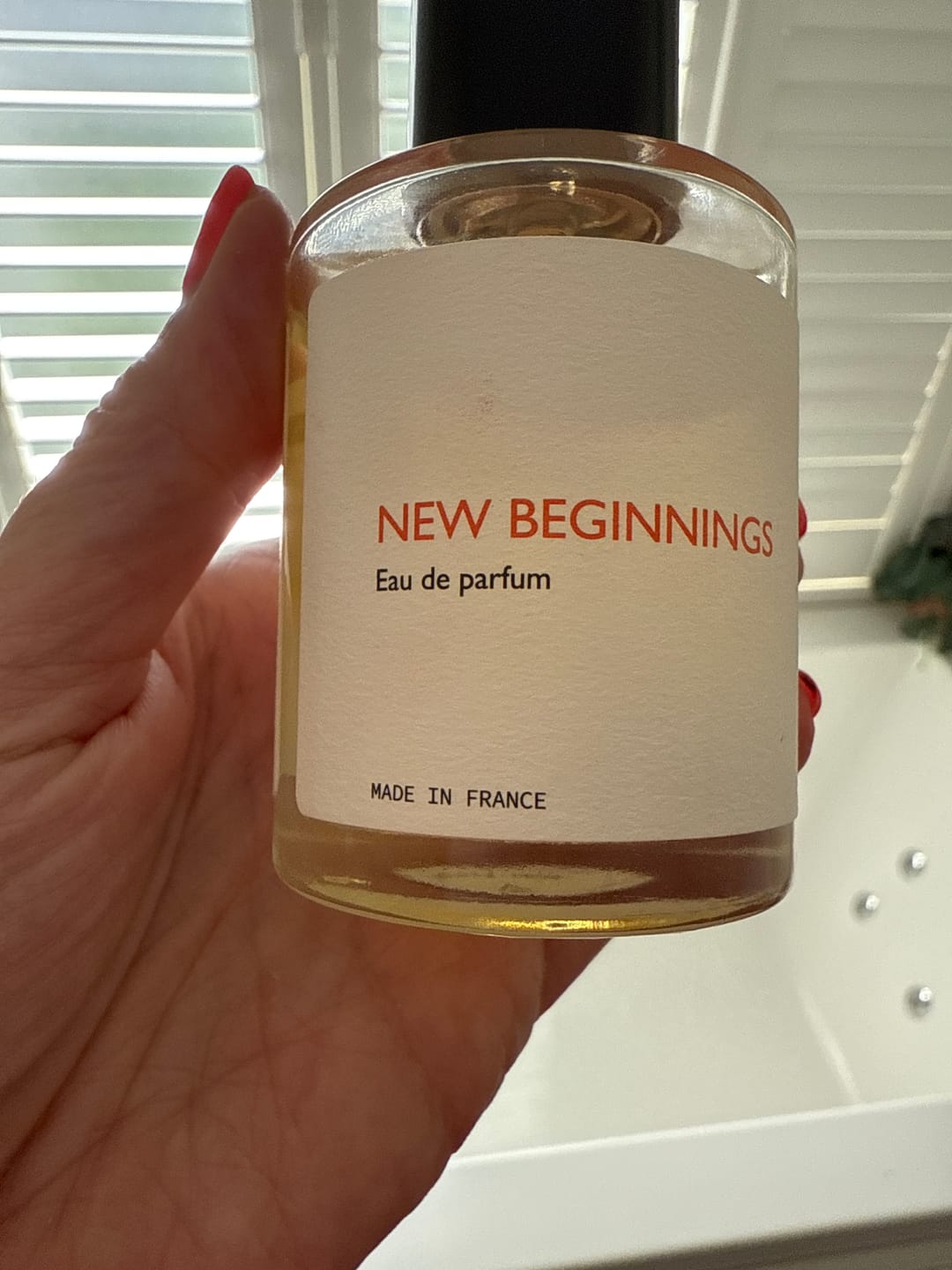 Customer photo review of New Beginnings