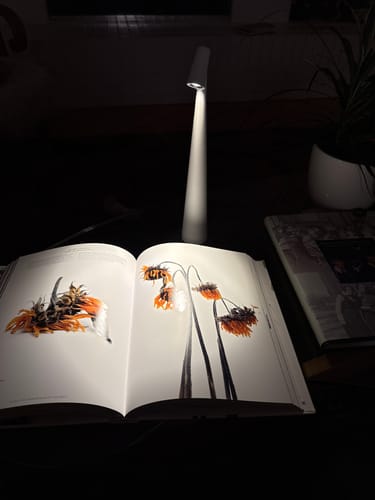 Customer photo review of Wireless Touch Switch Harmony Lamp