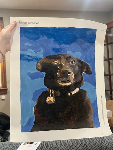 Customer photo review of Custom Paint By Numbers Kit - Upload Your Photo - Brush Set Included