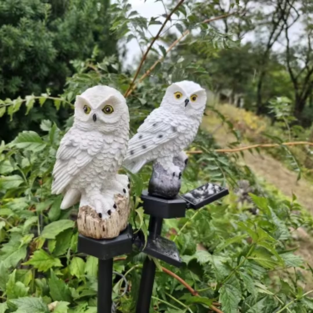 Customer photo review of Solarbetriebene Eulen-Gartenlampe - OwlGlow