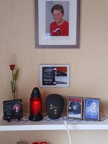 Customer photo review of Hunde Gedenktafel mit Foto & Spruch (UV- & Wetterfest)