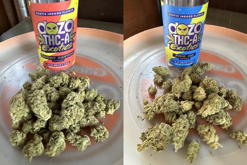 Customer photo review of 10g Dozo THC-A INDOOR FLOWER