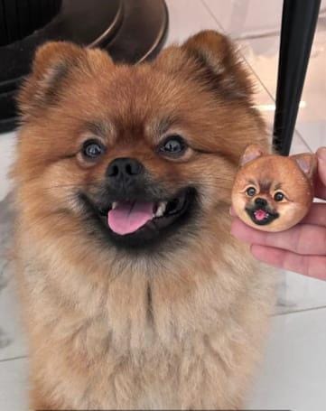 Customer photo review of Personalized Custom Pet Keychain/Magnet
