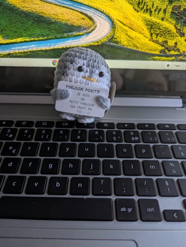 Customer photo review of PINGOUIN POSITIF