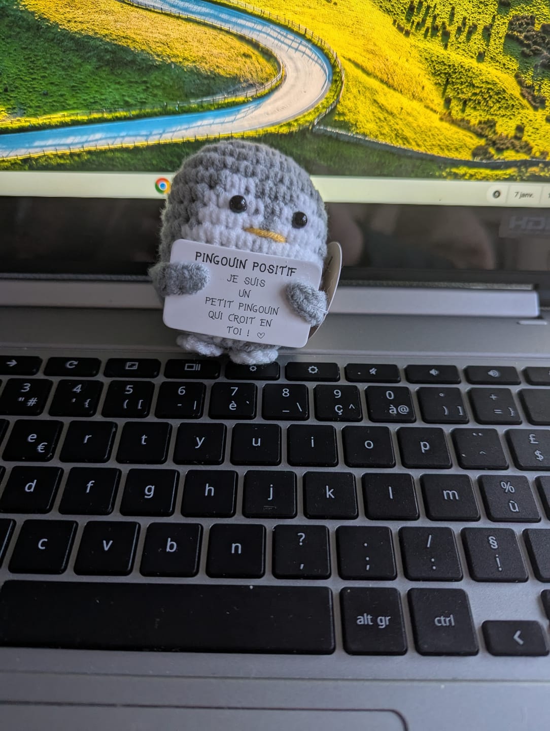 Customer photo review of PINGOUIN POSITIF