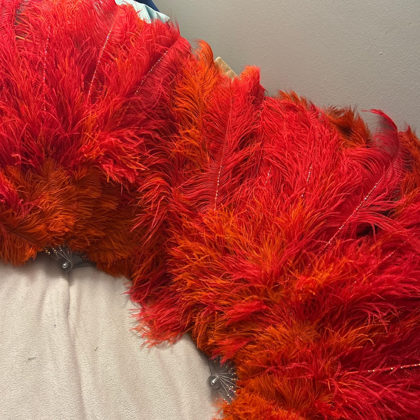 Customer photo review of Ostrich Drab Feathers (Medium)