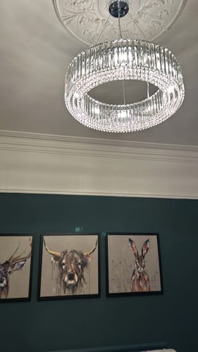 Customer photo review of 8-Light Modern Round Crystal Chandelier