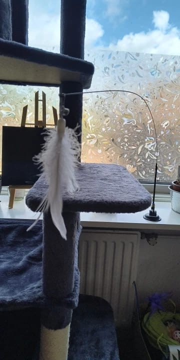 Customer photo review of Simulated Bird Wand Cat Toy