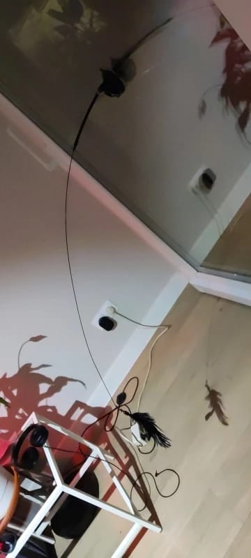 Customer photo review of Simulated Bird Wand Cat Toy