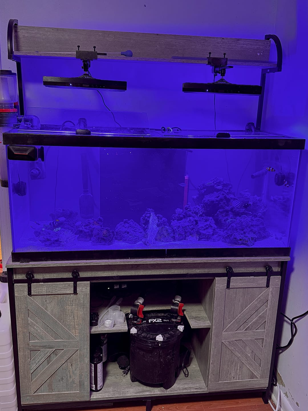 Customer photo review of Fiji Cube AIO Box All-in-One Kit 4th Gen - 75 Gallon Standard