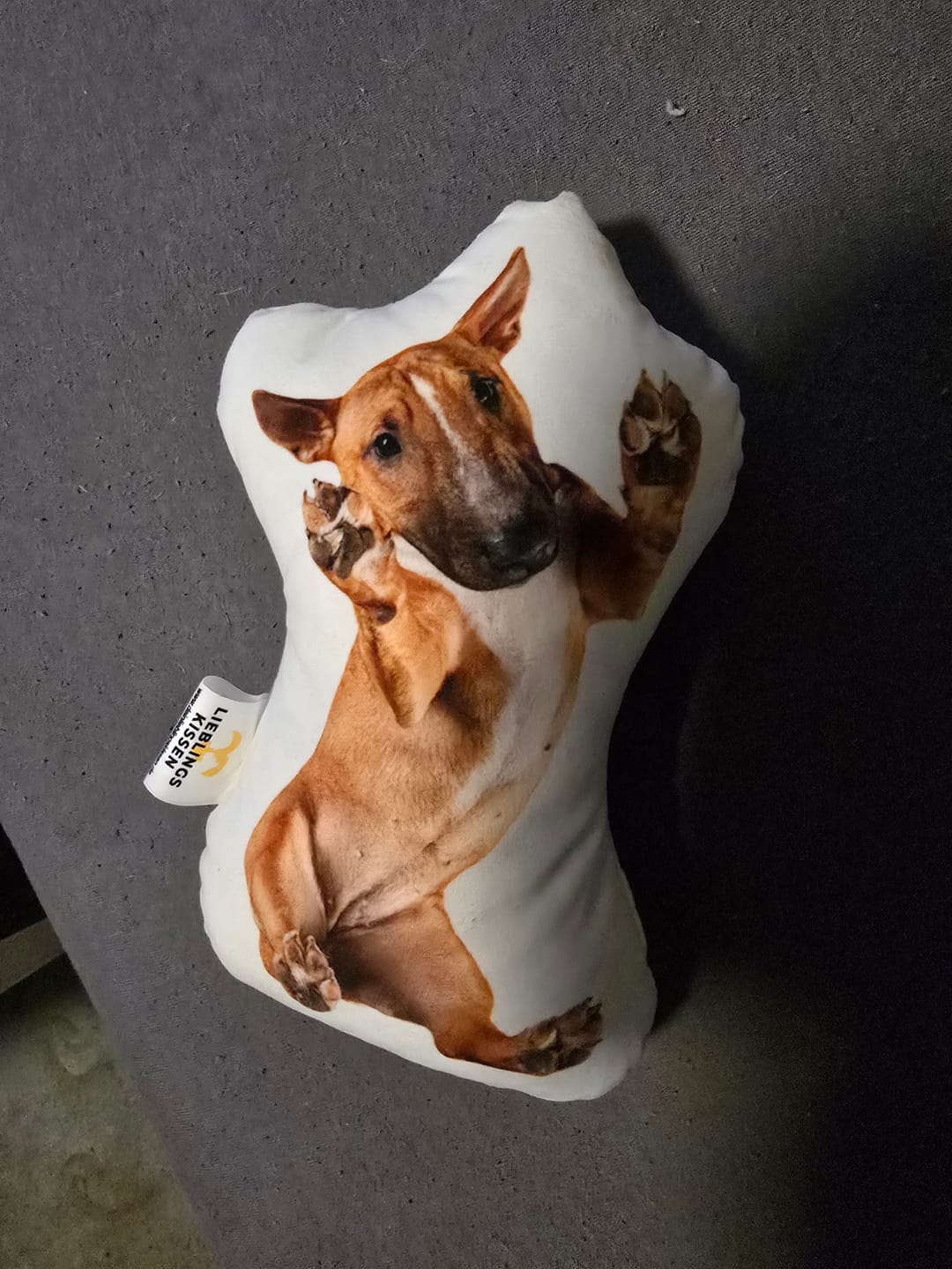 Customer photo review of Personalisiertes Hundekissen