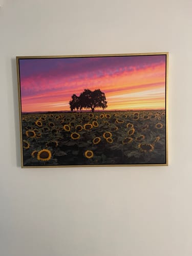 Customer photo review of Sunflowers - Central Valley, California