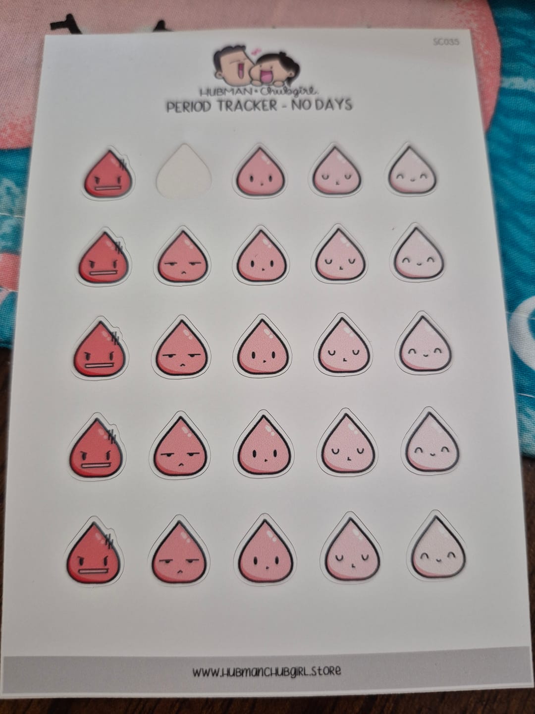 Customer photo review of Period Tracker Planner Stickers - No days