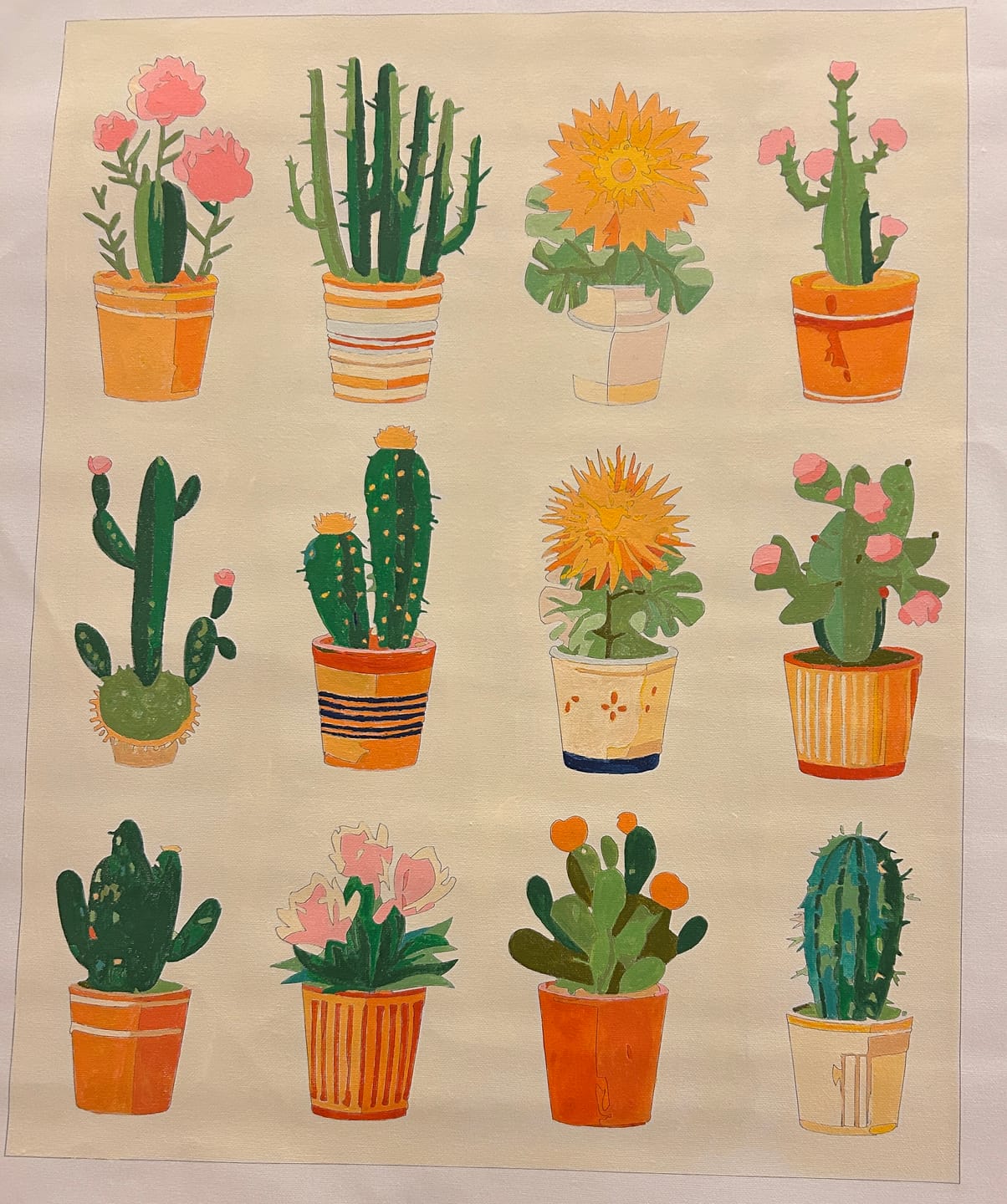 Customer photo review of Cactus Terrace