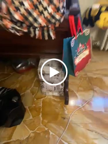 Customer video review of 1 lattina di olio extravergine di oliva • 5 Litri