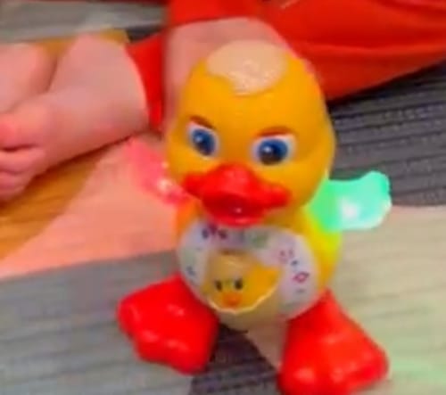 Customer photo review of DuckyDancer - Interactive Dancing Duck