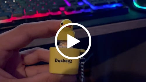 Customer video review of Quackey - Fidget Toy that Quacks!