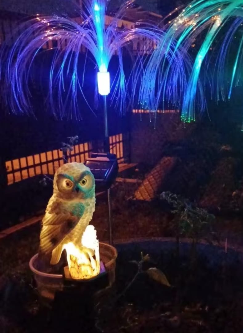 Customer photo review of Solarbetriebene Eulen-Gartenlampe - OwlGlow