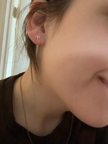 Customer photo review of Zodiac Symbol Stud Earrings