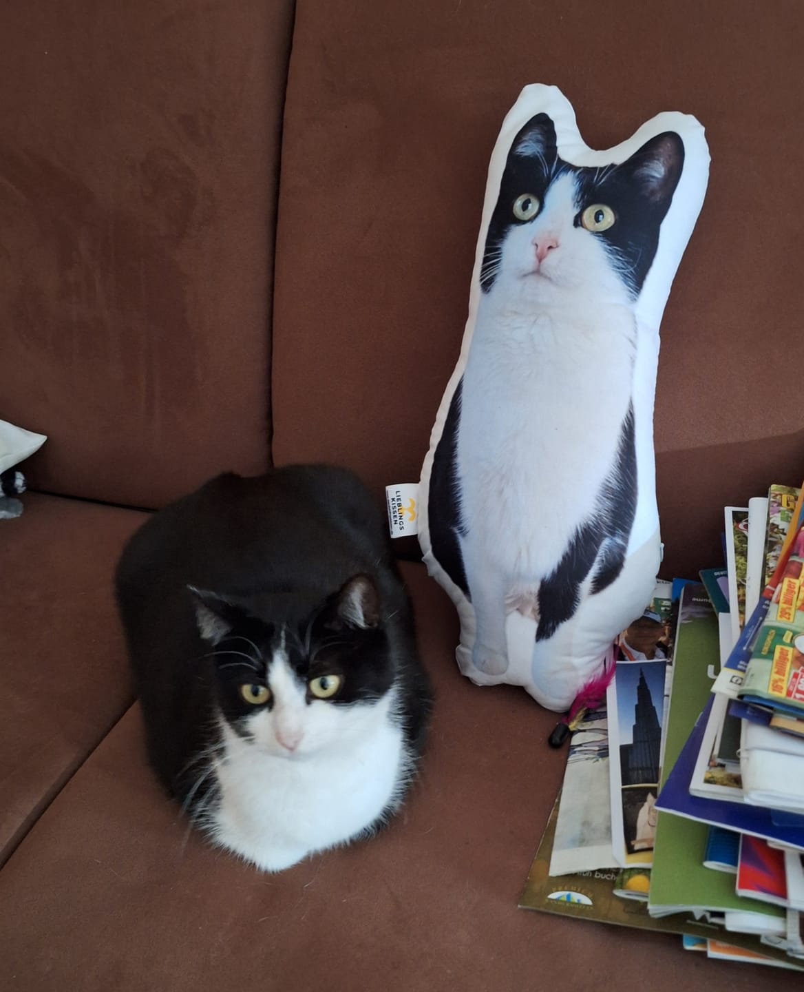 Customer photo review of Personalisiertes Katzenkissen
