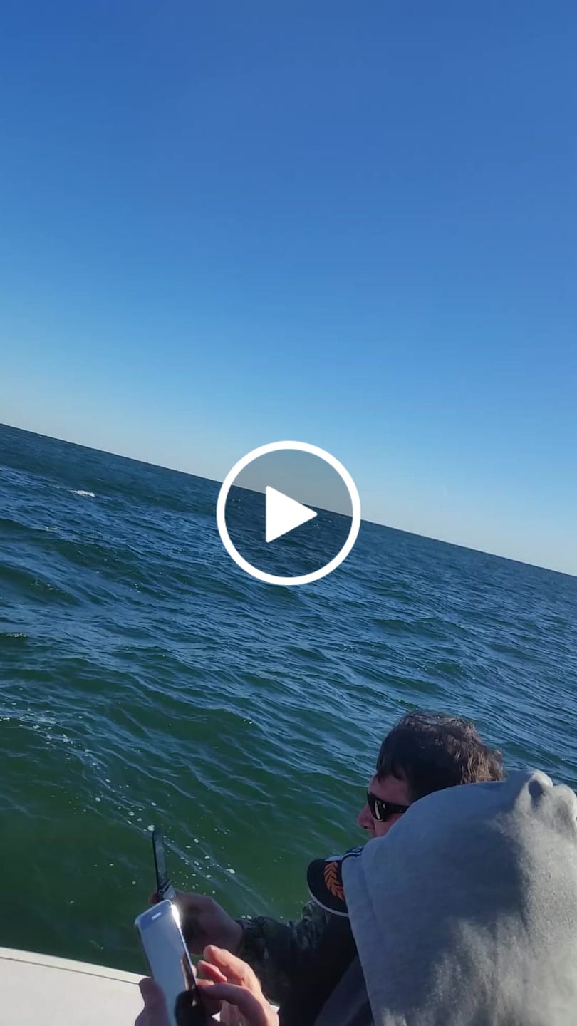 Customer video review of Bulk Braid Spools 2000 Yards - All Colors