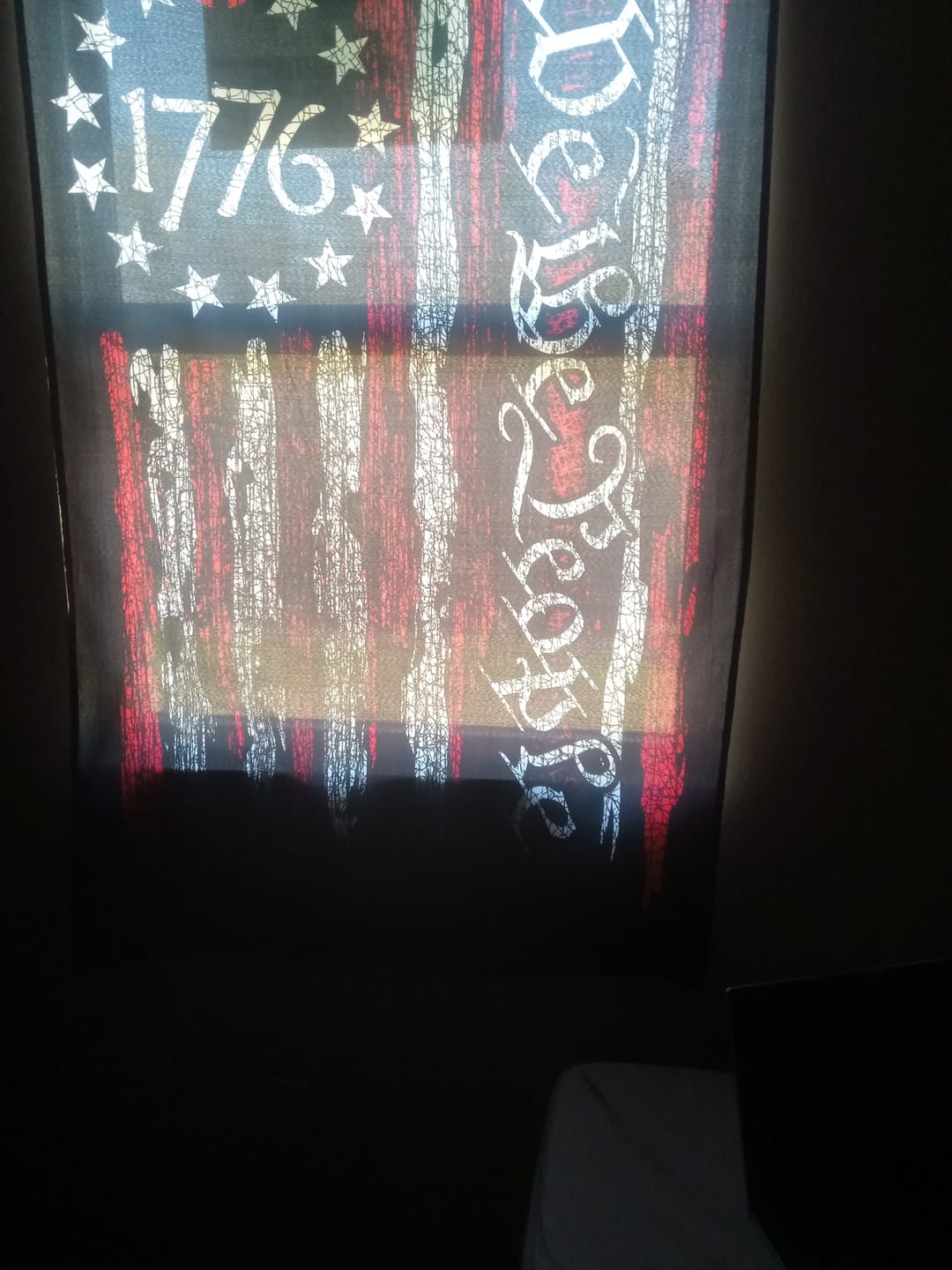 Customer photo review of We The People 1776 Flag