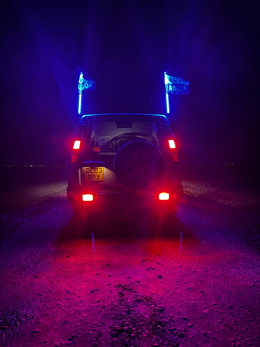 Customer photo review of 3ft LED Whip Lights