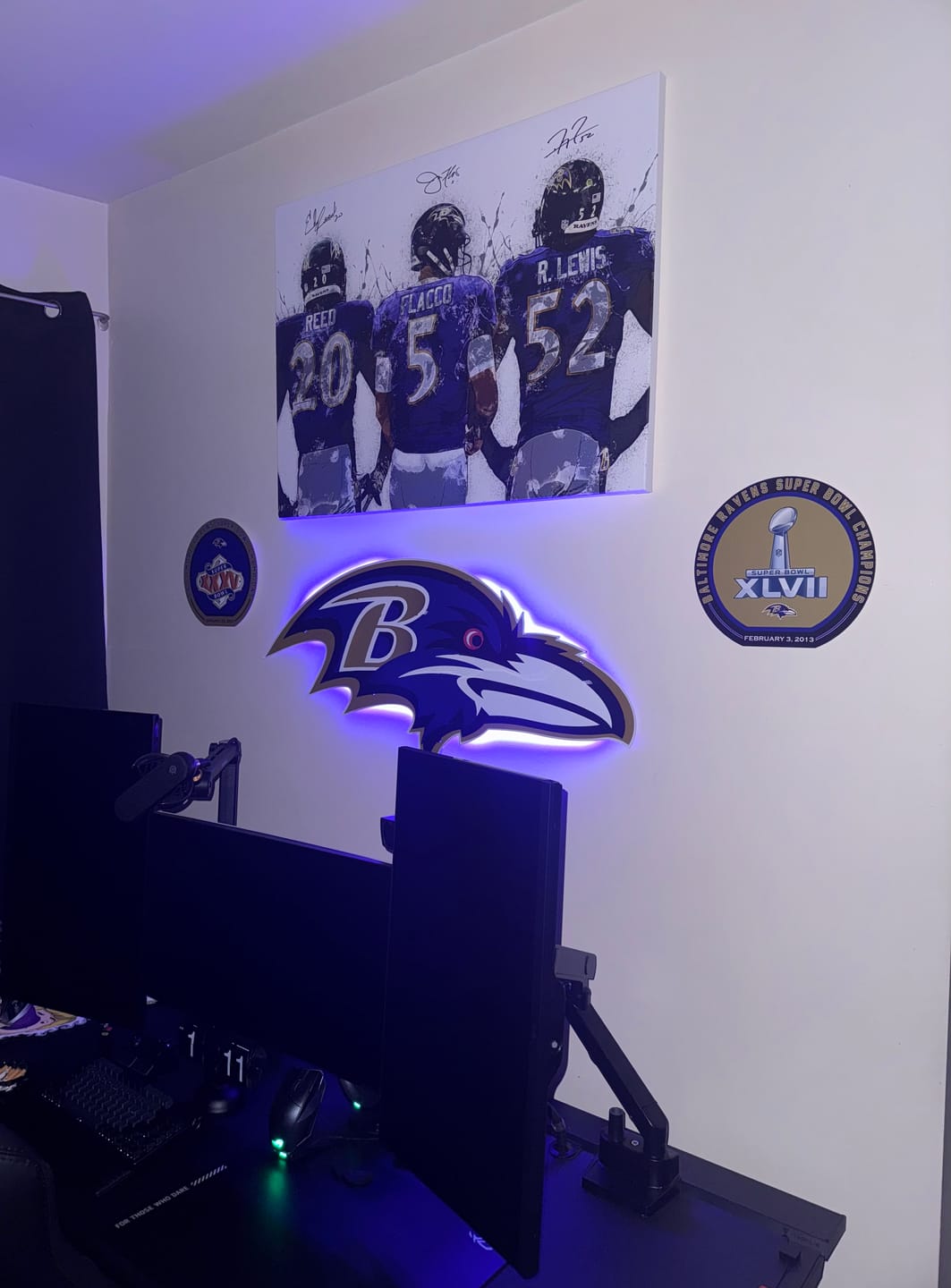 Customer photo review of Baltimore Ravens "Raven Mascot" 3D Vintage Metal Wall Art