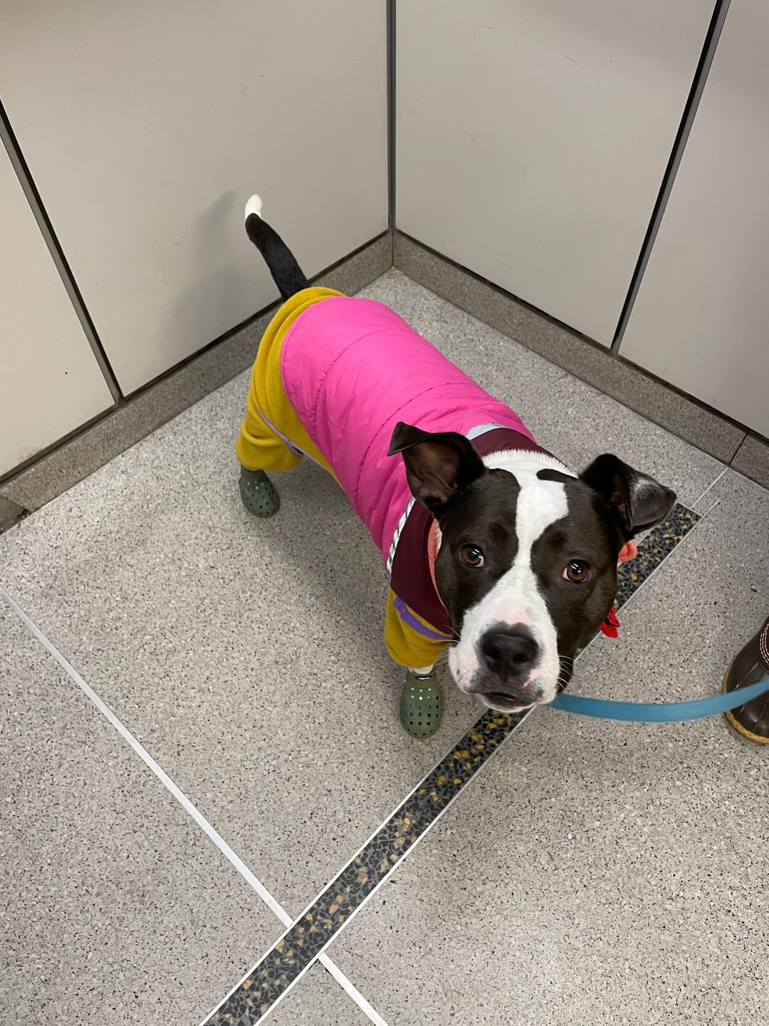 Customer photo review of NEW Fleece Pull-Over
