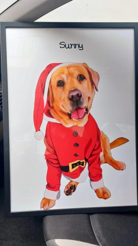 Customer photo review of Πορτραίτο Κατοικίδιου - Πόστερ με κάδρο