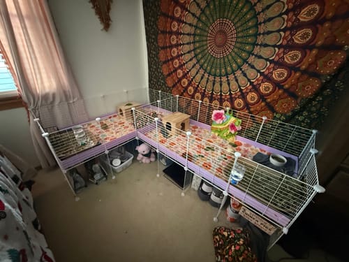 Customer photo review of White L-Shape 8x2 C&C Cage with Divider