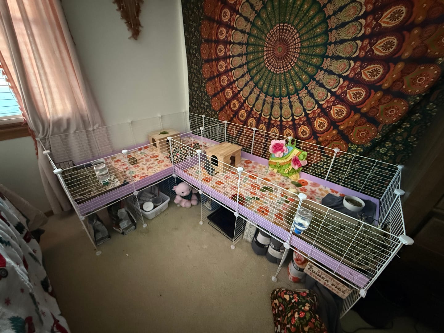 Customer photo review of White L-Shape 8x2 C&C Cage with Divider