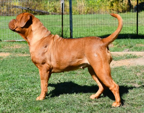 Customer photo review of Zeolite