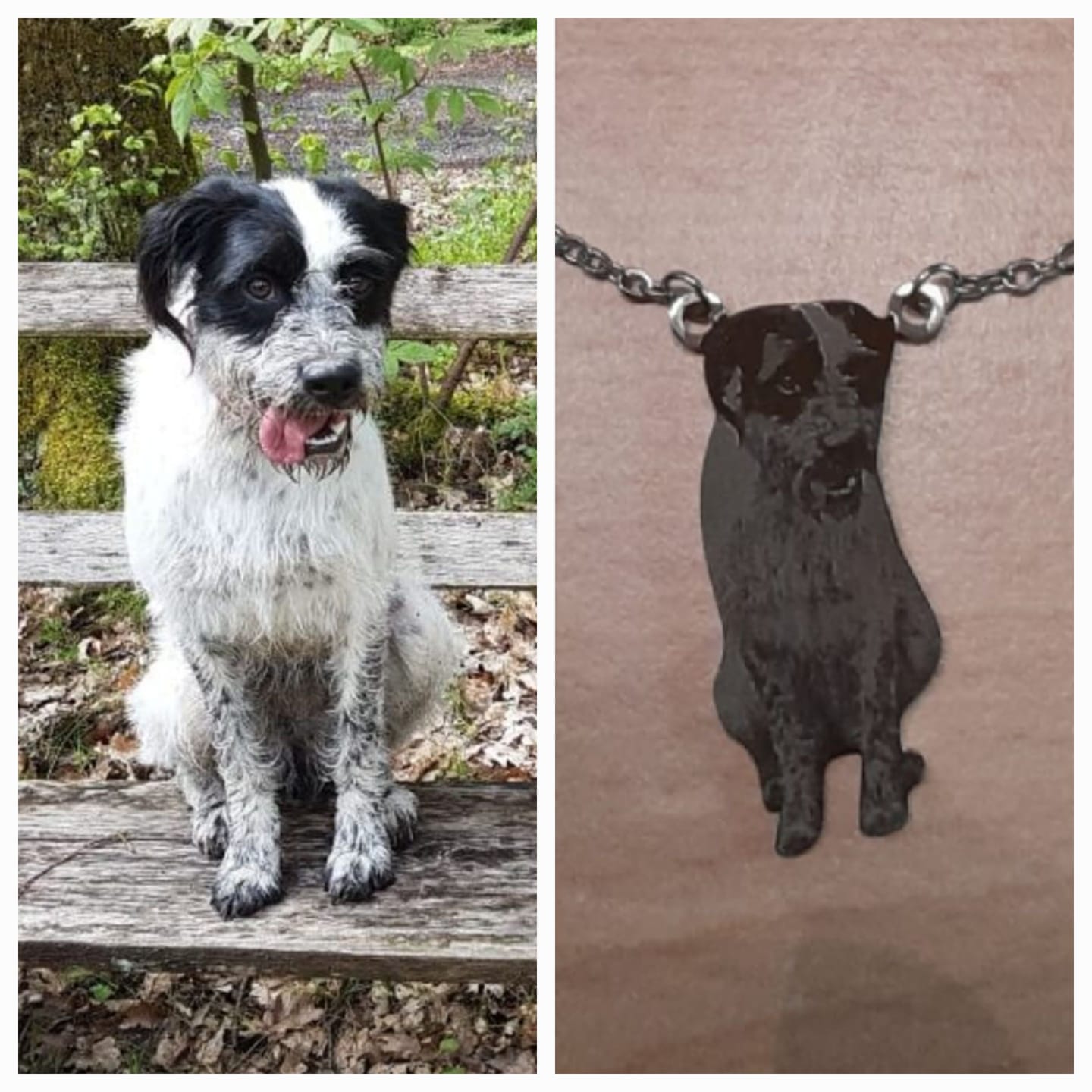 Customer photo review of Persönliches Haustier als Halskette oder Anhänger
