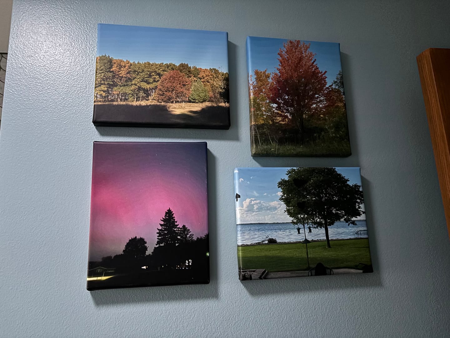 Customer photo review of Custom Canvas