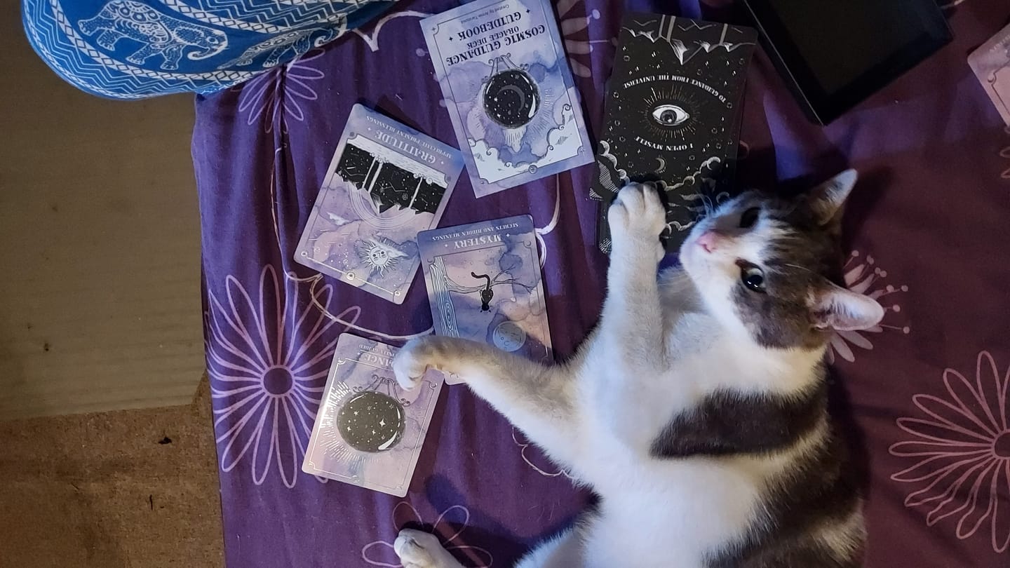 Customer photo review of Cosmic Guidance Oracle Deck