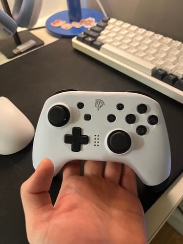 Customer photo review of EasySMX® 9124 Wireless Switch Controller with Gyro and Turbo
