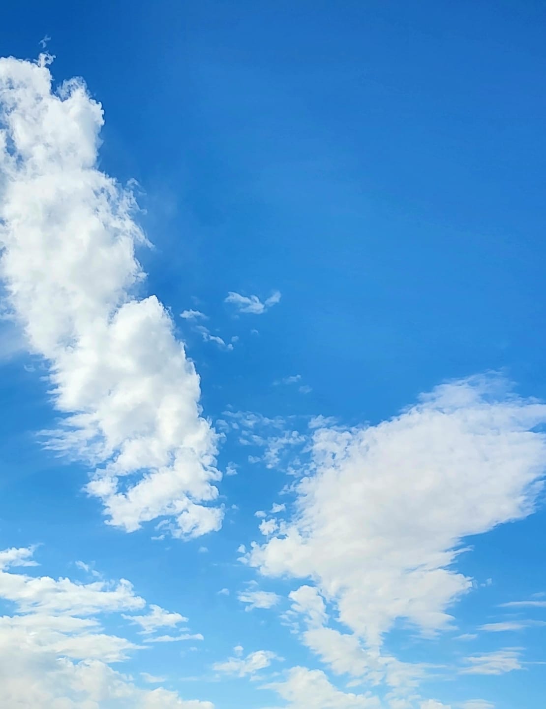 Customer photo review of Alpha II Circular Polarizer