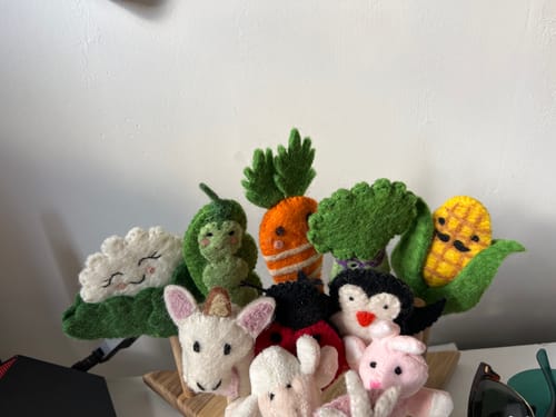 Customer photo review of Felt Vegetables Finger Puppets Set