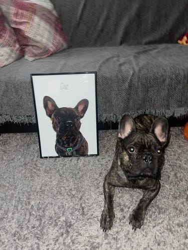 Customer photo review of Πορτραίτο Κατοικίδιου - Πόστερ με κάδρο