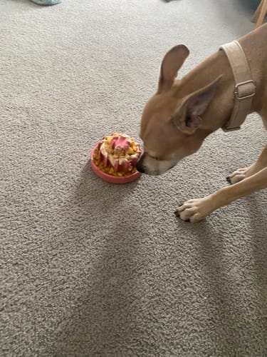 Customer photo review of FreezLava Heavy-Duty Enrichment Chew