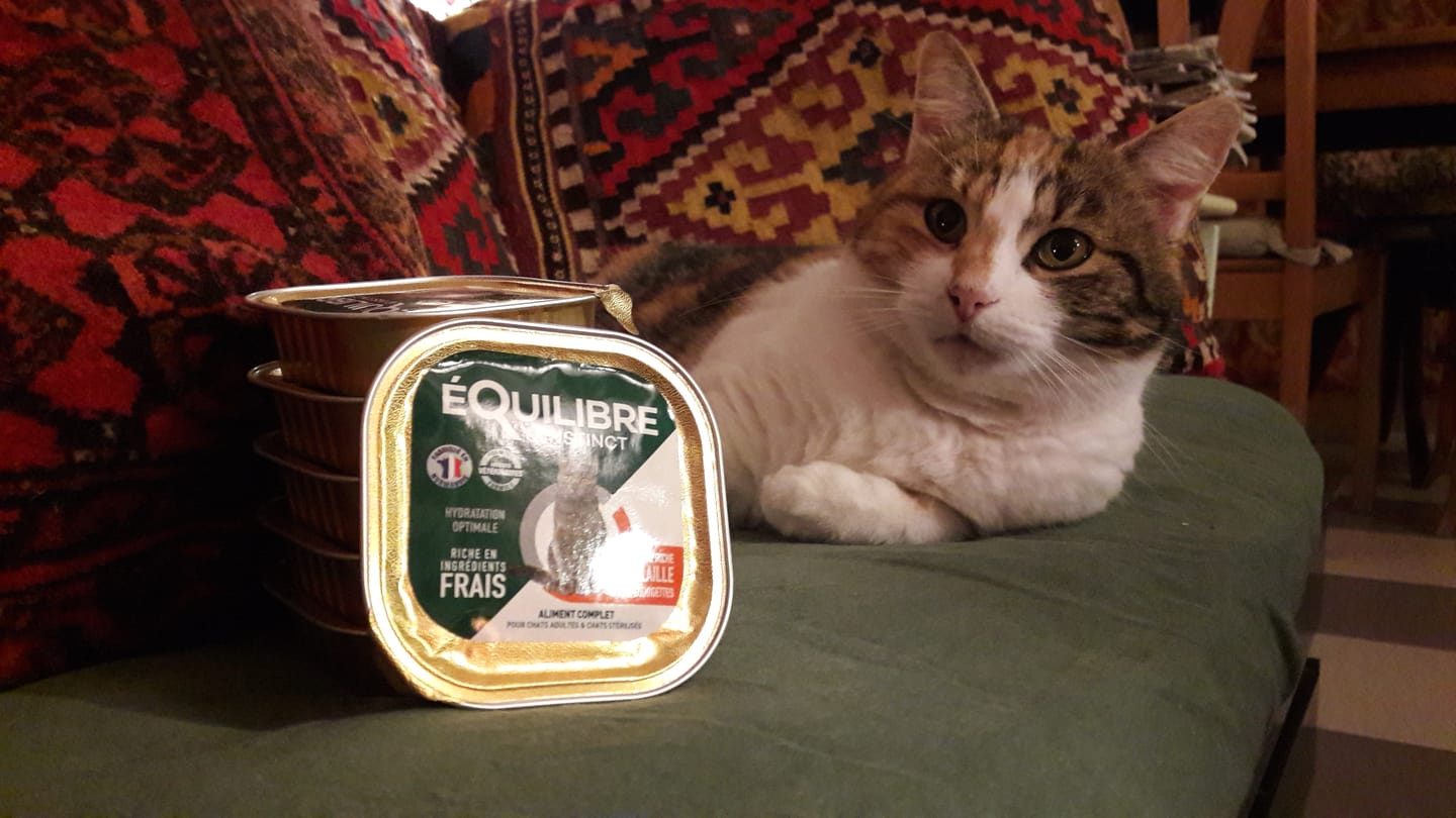 Customer photo review of Pâtées riches en volaille & aux courgettes (chat stérilisé et chat adulte)