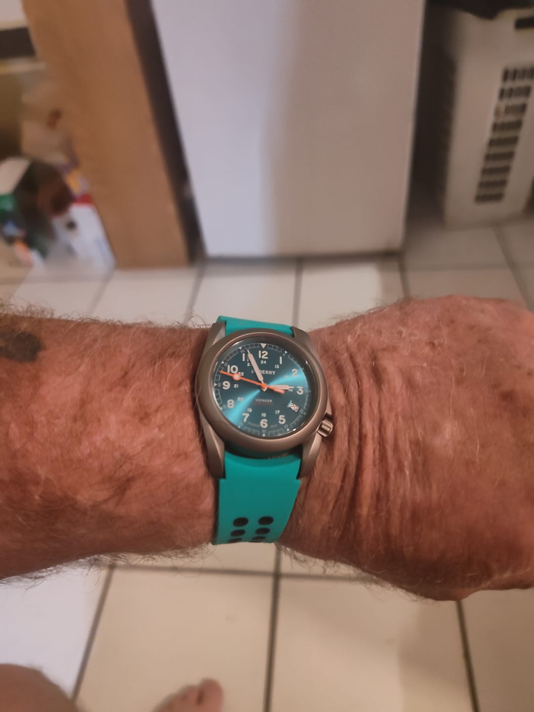 Customer photo review of VOYAGER - 100M Waterproof Titanium Automatic Field Watch | Peacock Green
