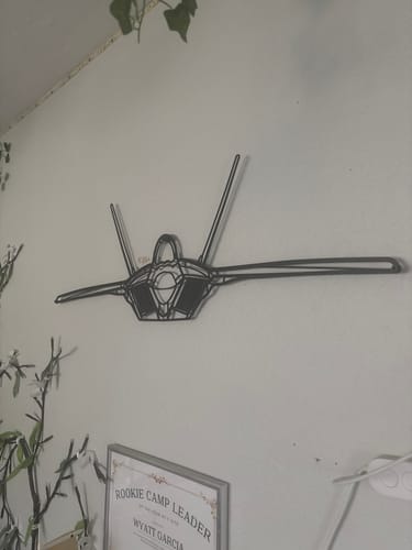 Customer photo review of F-22 Raptor Front Metal Aircraft Wall Art - NCP0079
