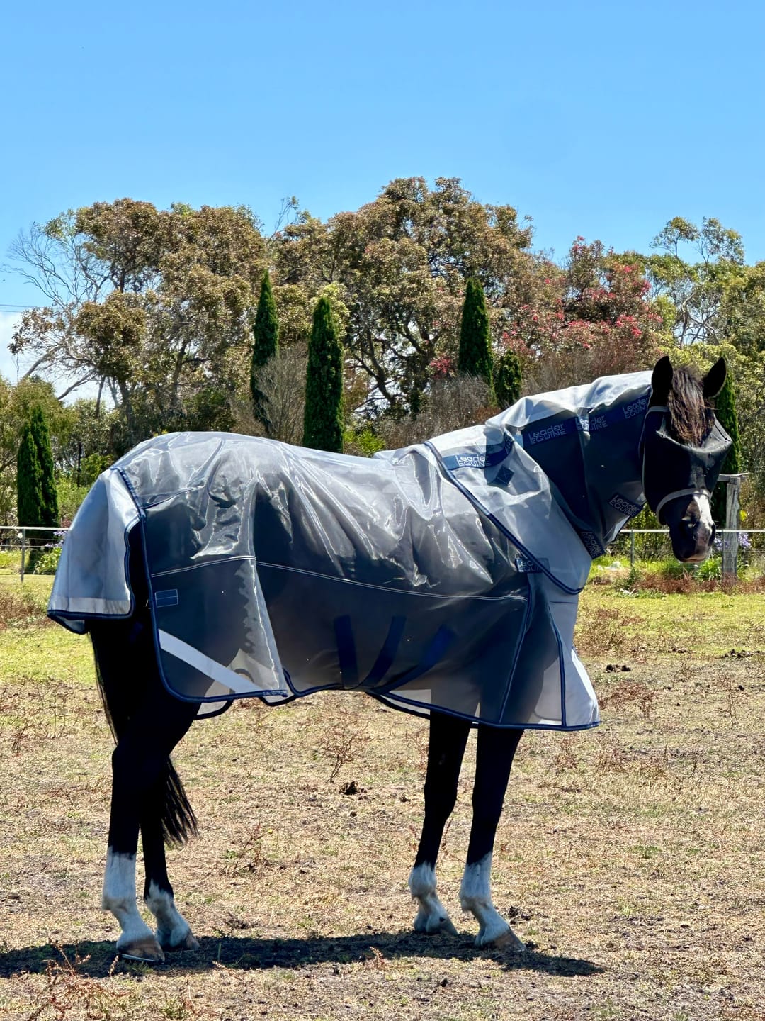 Customer photo review of LE Defender Anti-Insect Fly Rug