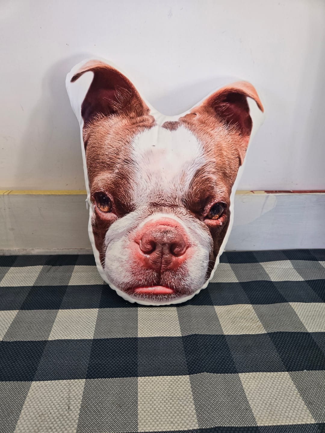 Customer photo review of Custom Pet Face Shaped Pillow from Your Pet Photos, Customized Pet Head Pillows