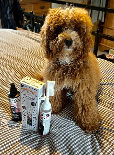 Customer photo review of 2 in 1 Baby Fresh Detangling Foam Comb for Dogs & Cats