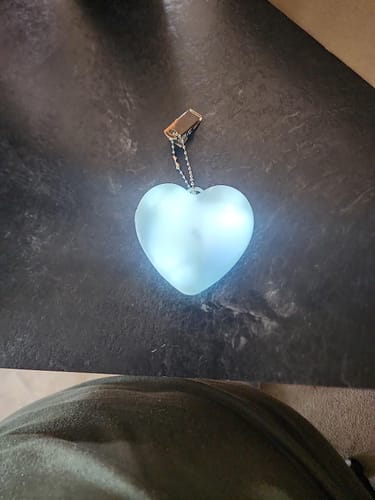 Customer photo review of LitLamp™ - PurseLamp