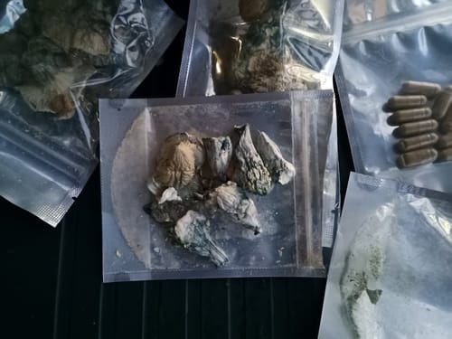 Customer photo review of Non Detect Mushrooms - 50% Off