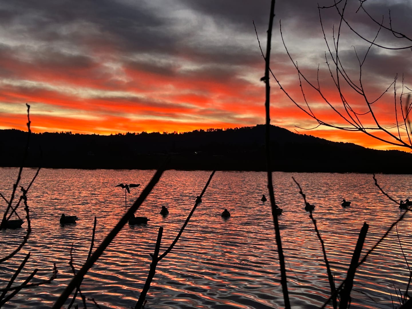 Customer photo review of DeepWade Zipped Duck Waterfowl Hunting Breathable Chest Waders